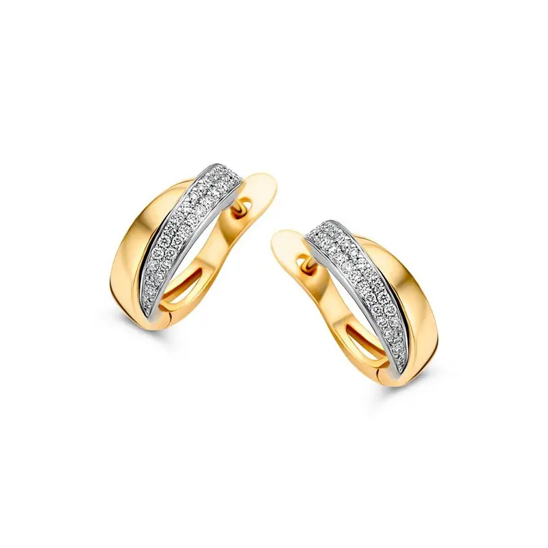 Bicolor Geel- en Witgouden Oorringen met Diamant in Pavézetting – 14 Karaat Oorringen met 0.20 Carat Diamant