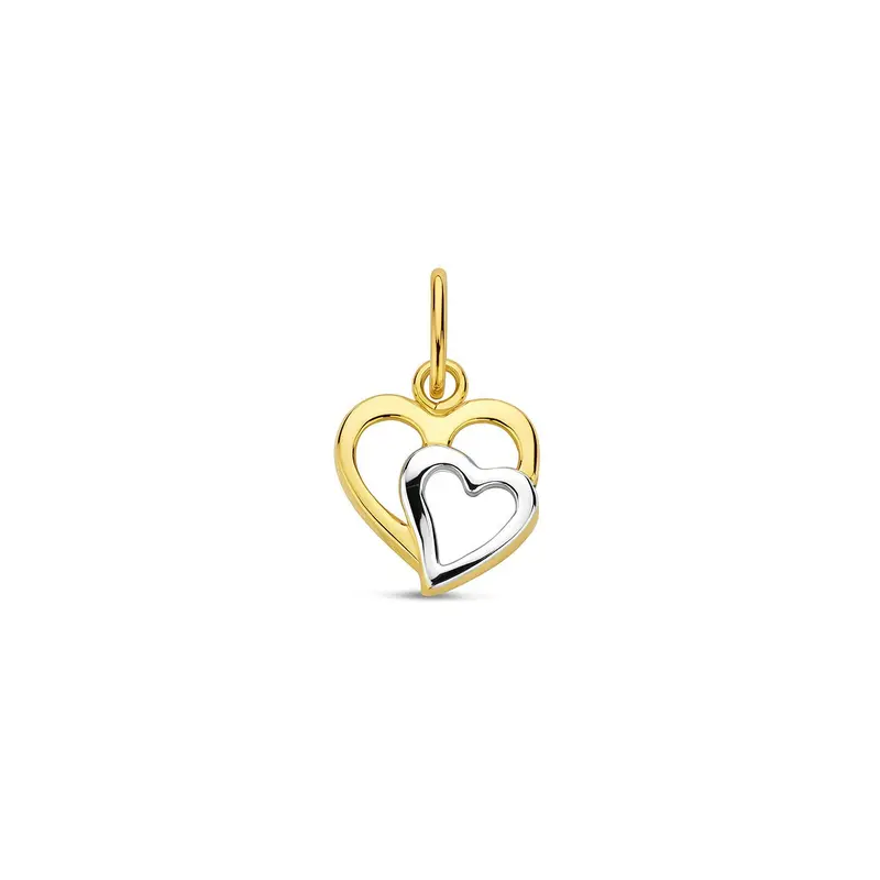 Bicolor hart hanger – 14k wit- en geelgoud