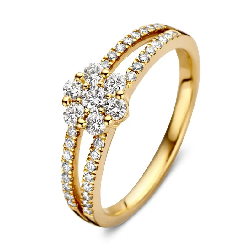 Bijzondere Geelgouden Entourage Ring met Briljanten – 14 Karaat 0.55 crt.