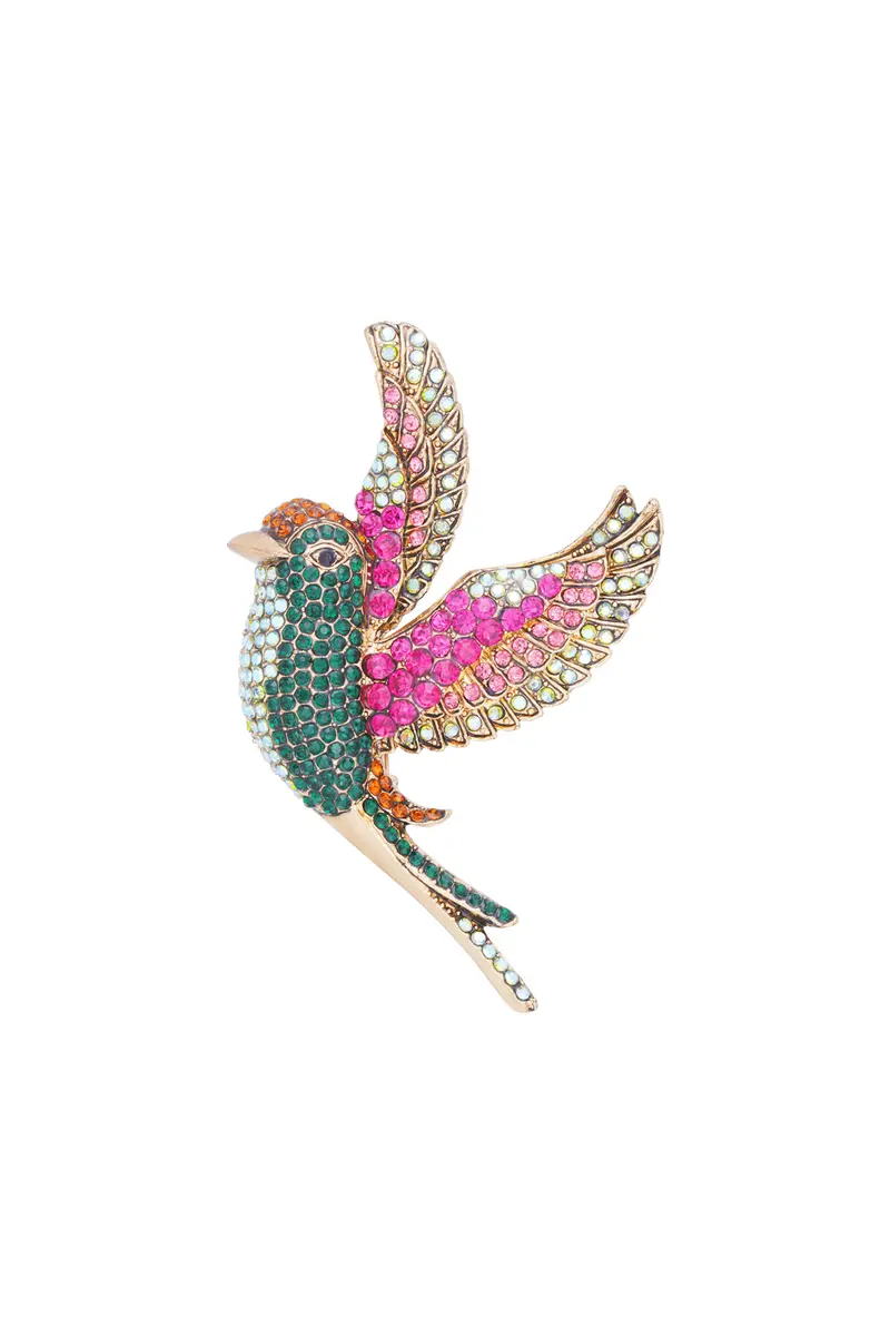 Broche | Colorful wings