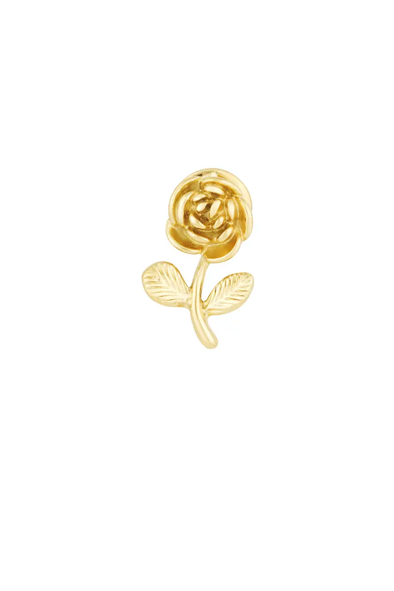 Broche | Rose