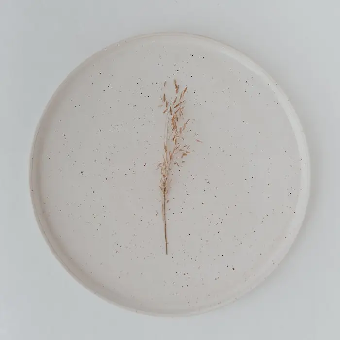 Calma Dinner Plate