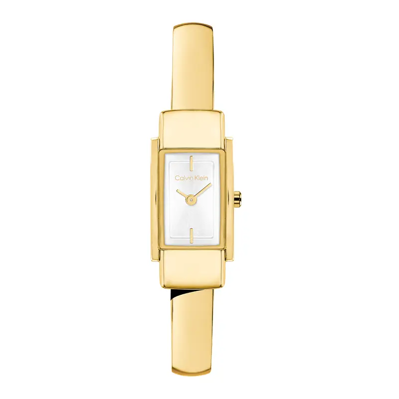 Calvin Klein CK25100184 Dames Horloge 15mm