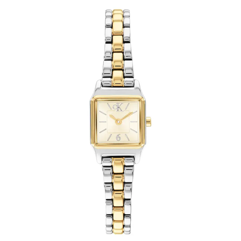 Calvin Klein Dames Horloge CK25100234 16 mm Zilverkleurig