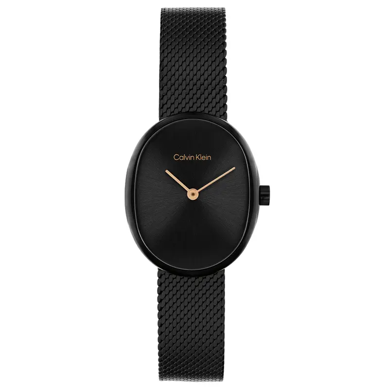 Calvin Klein Dameshorloge CK25100176 Zwart 23 mm