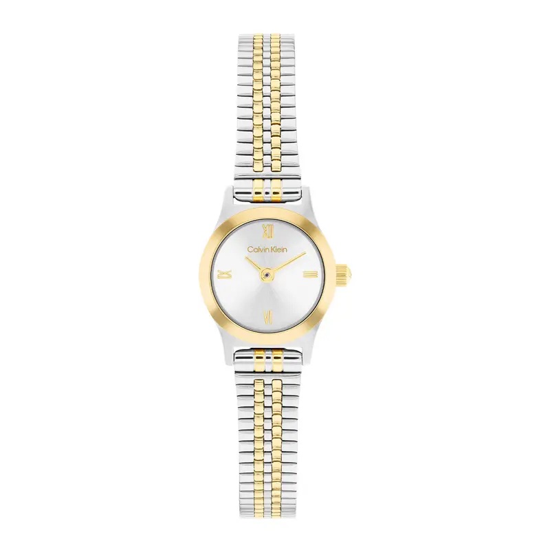 Calvin Klein Dameshorloge CK25100207 Zilverkleurig 18 mm