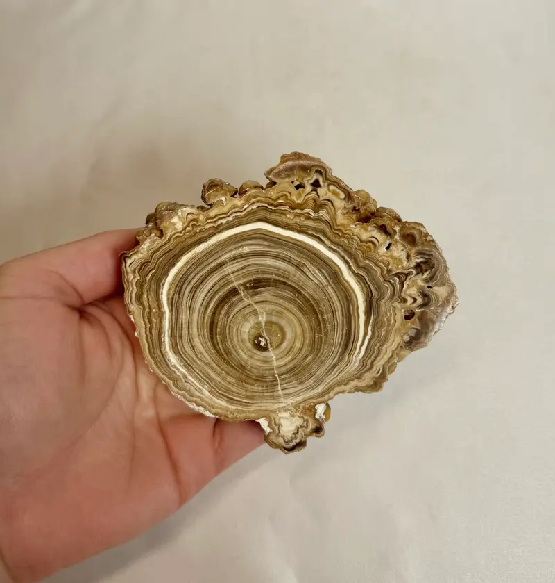 Cave Calciet Nr. 508