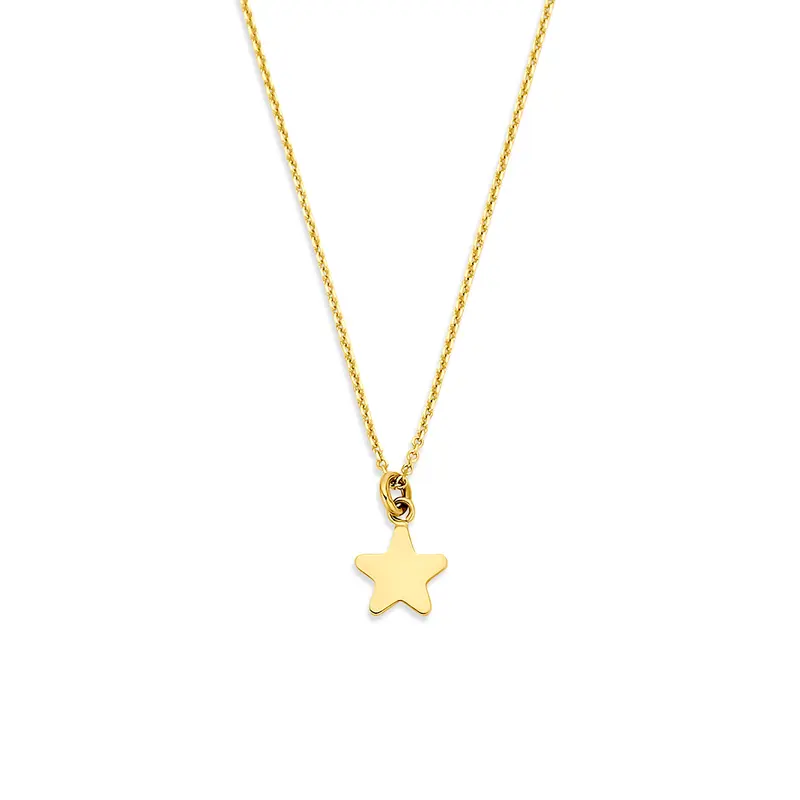 Collier ster 14K geelgoud 40 - 42 - 44 cm – 4036051