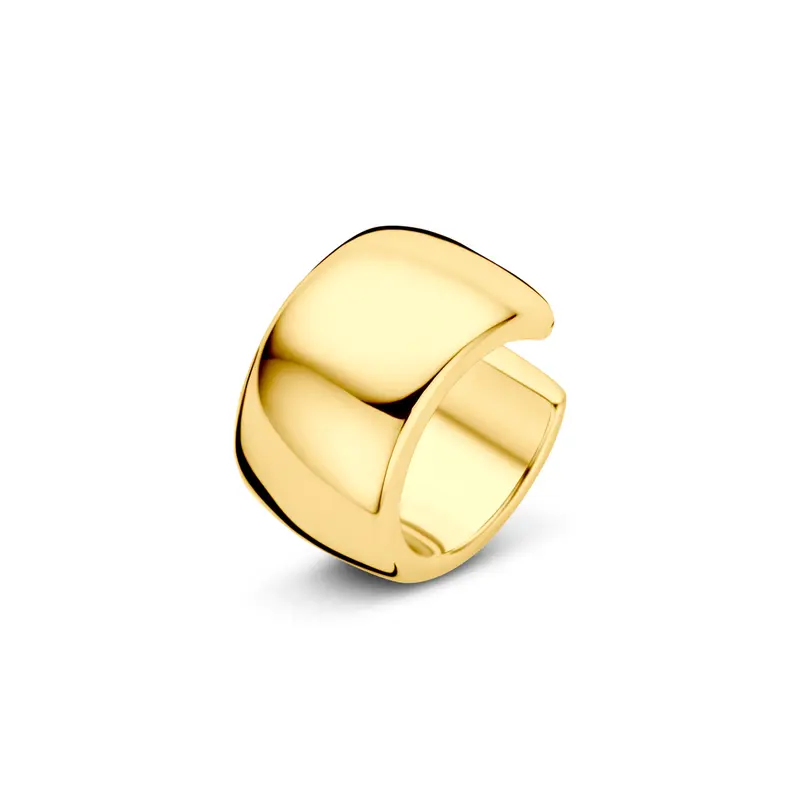 Ear cuff zilver verguld 13 mm 1 micron – 2104225