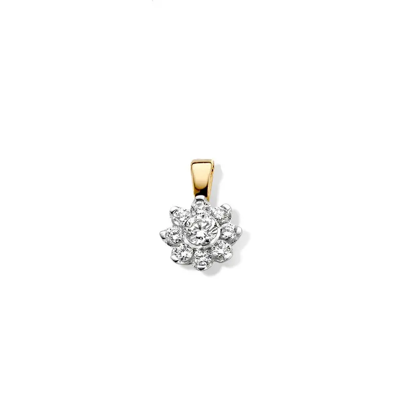 Geelgouden entourage hanger met briljant diamant - 14 karaat - 0,21 crt diamant