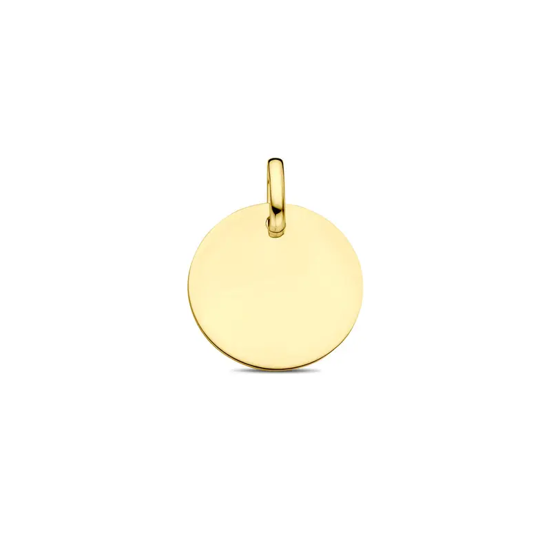 Geelgoudkleurige graveerhanger rond – 9k