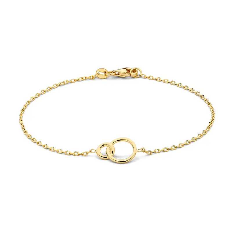 Gouden Armband met Stevige Ankerschakel en Verbonden Cirkels – 14-Karaat Luxe voor Dames