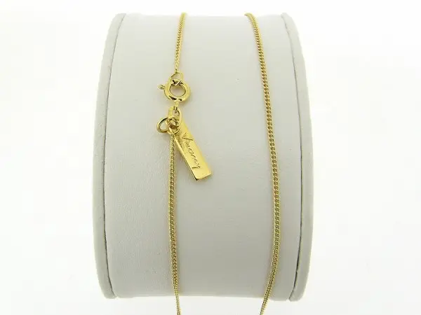 Gouden dunne gourmet Pendant kettinkje