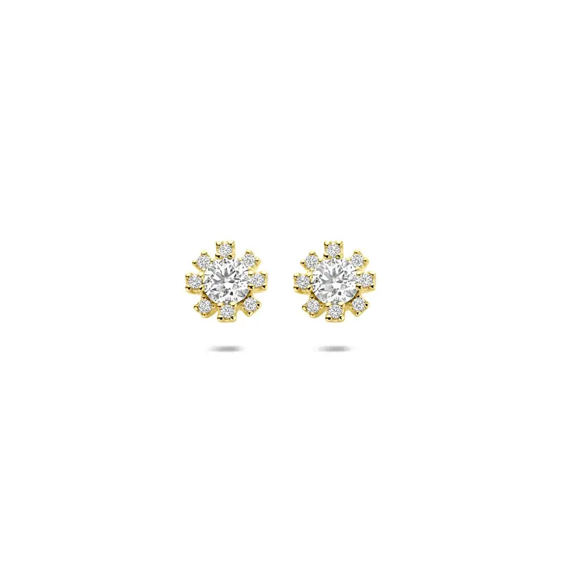 Gouden Oorknopjes 14k met Zirkonia – Entourage Zetting