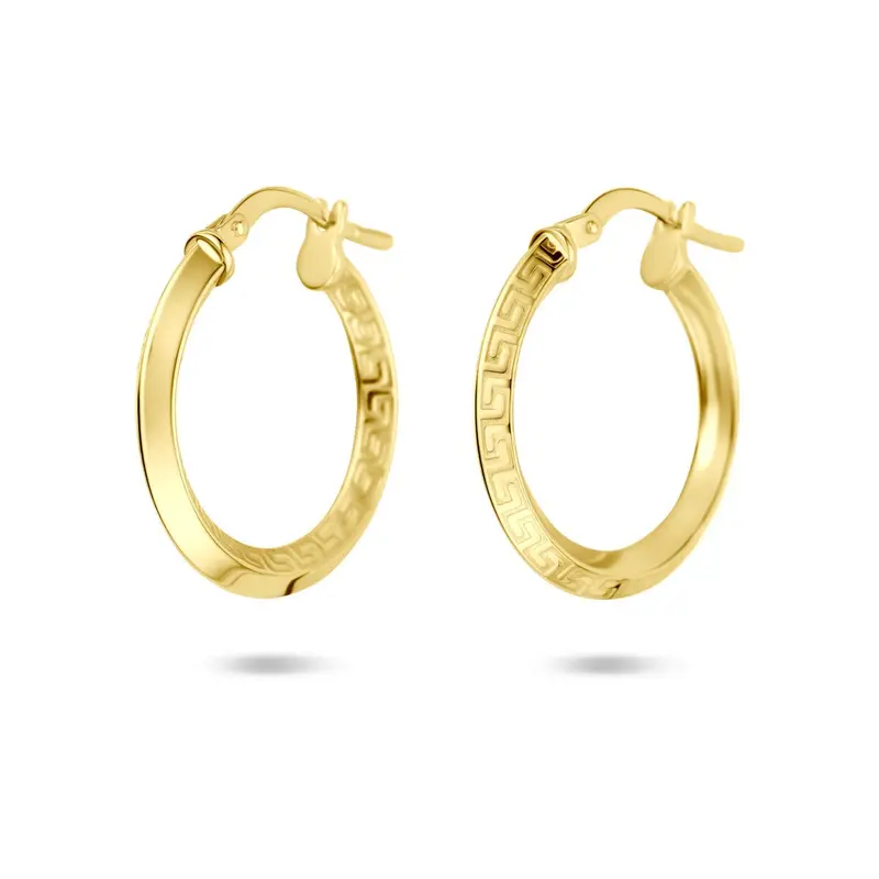Gouden oorringen dames – 14k Silgold scharniersluiting 2,5 mm