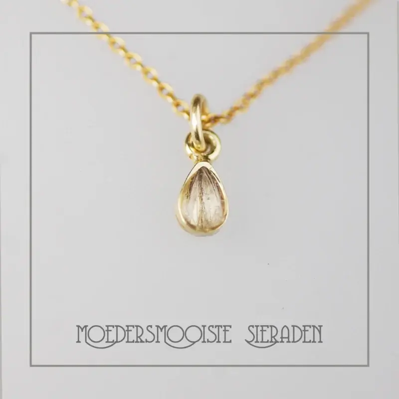 Haarlok Ketting Druppel Goud