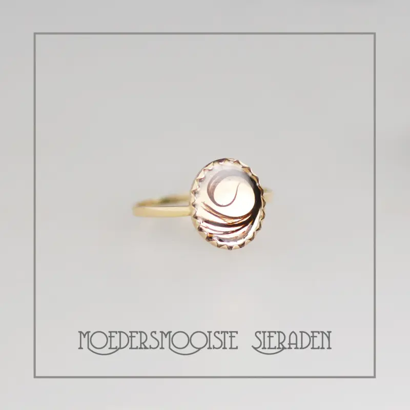 Haarlokring van Goud Taus Oval Gold