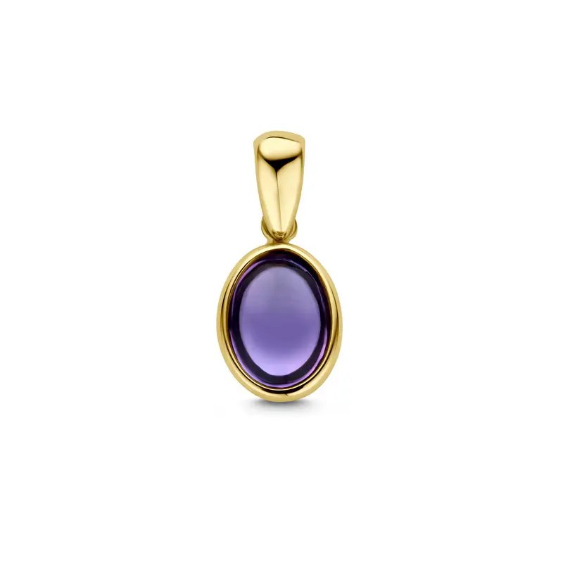 hanger amethist 14K geelgoud