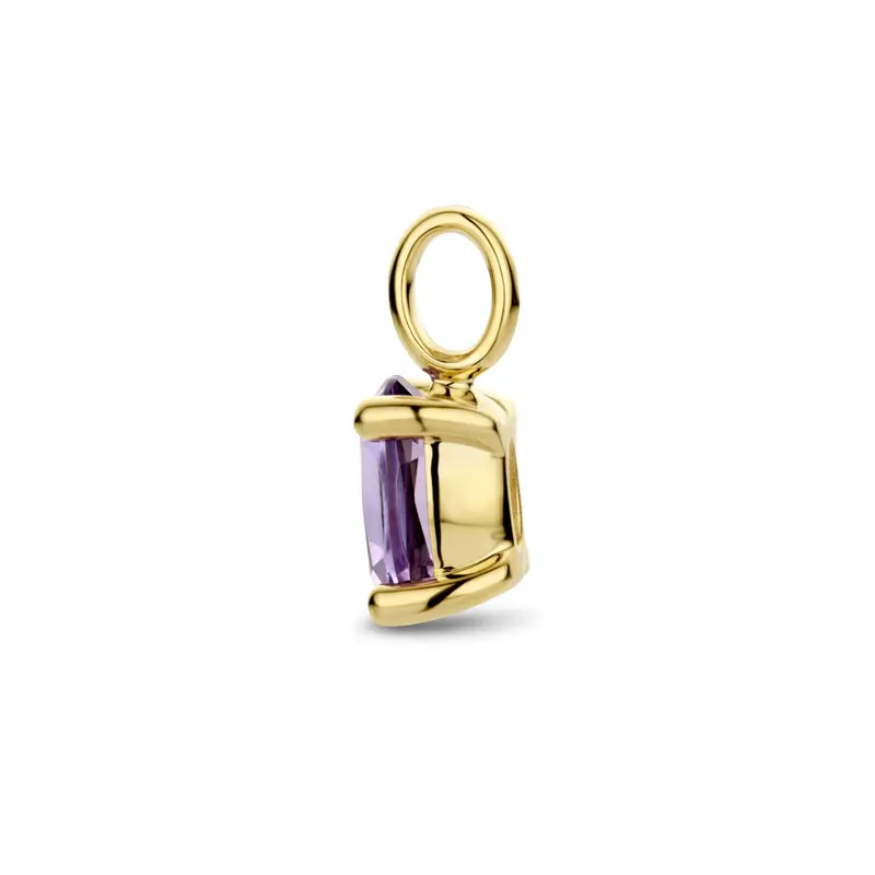 hanger amethist 14K geelgoud