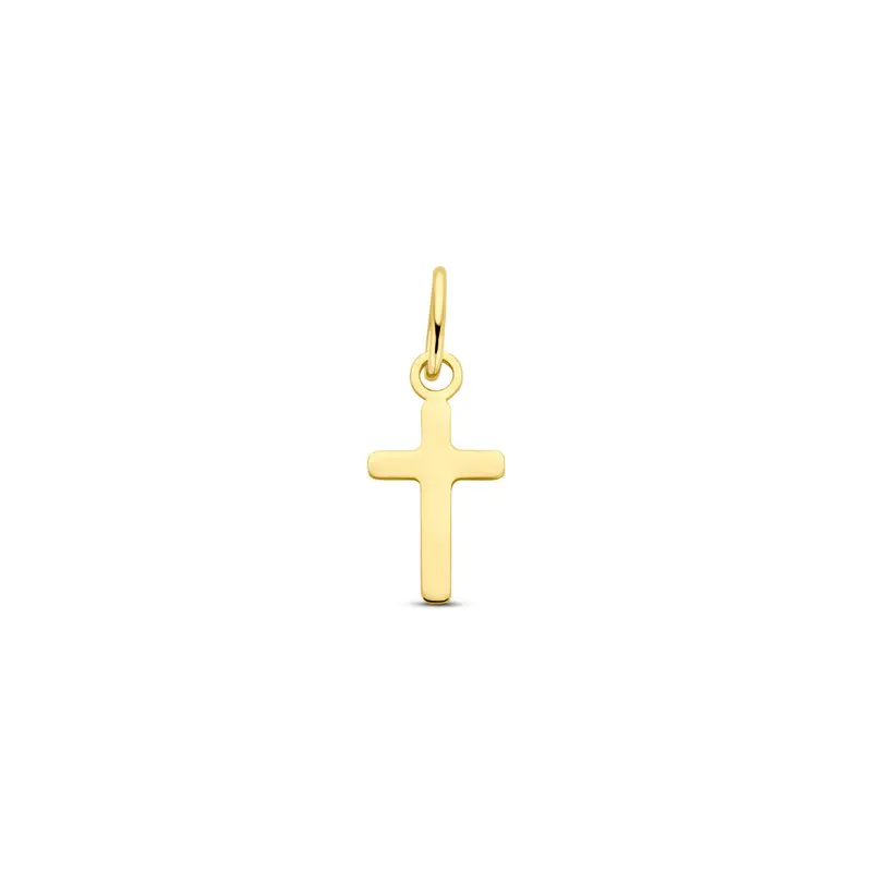 Hanger kruis 14 mm 14K geelgoud – 4034256