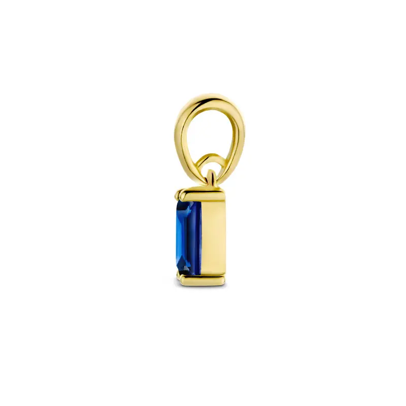 hanger met geboortesteen 14K geelgoud