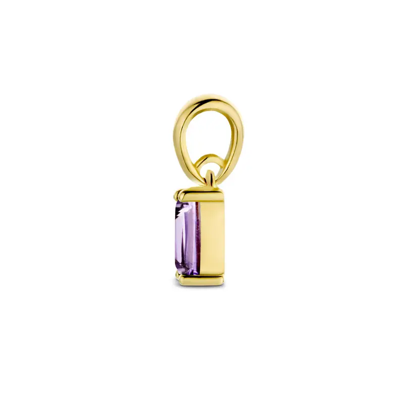hanger met geboortesteen 14K geelgoud