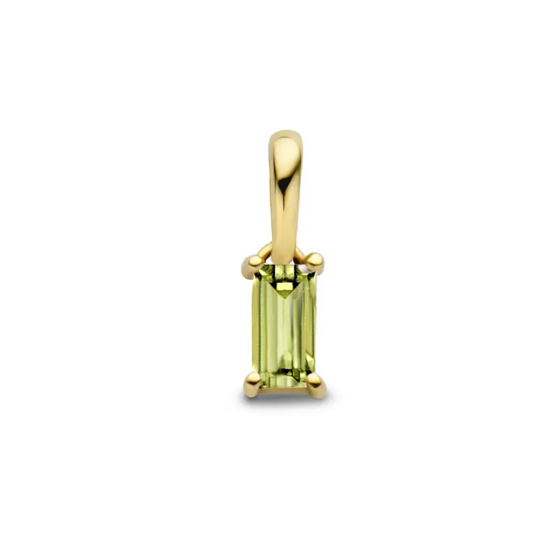 hanger met geboortesteen 14K geelgoud