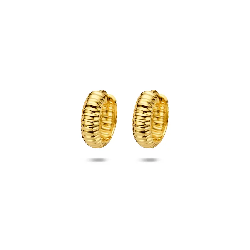 Klapoorringen buis 14K geelgoud 3,5 mm – 4036541