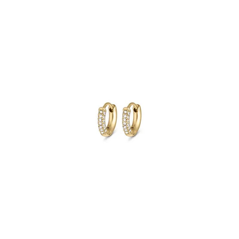 Luna Earrings Small