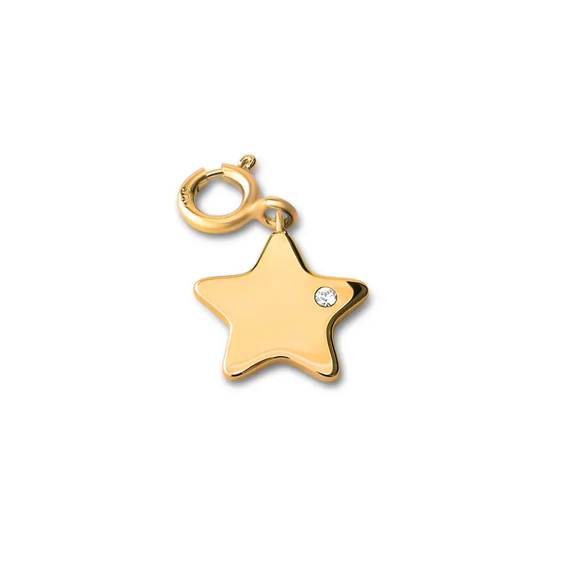 Melano Ornaments Star CZ Hanger
