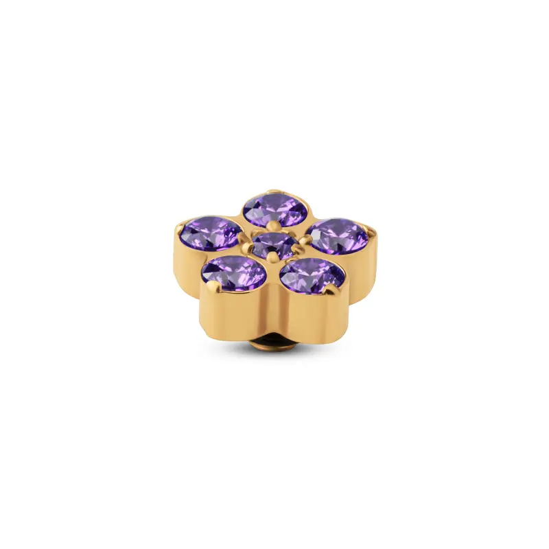 Melano Twisted Frozen Star CZ Steentje