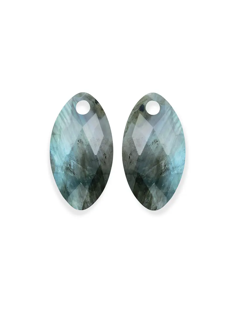 Oorbel Edelstenen Leaf Labradorite