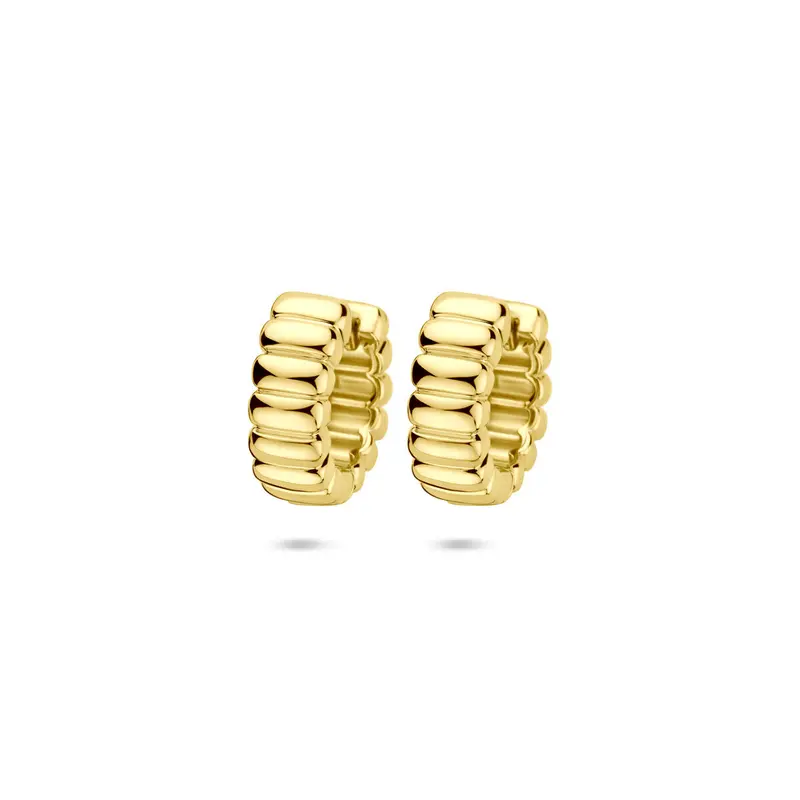 Oorbellen 14 mm zilver verguld