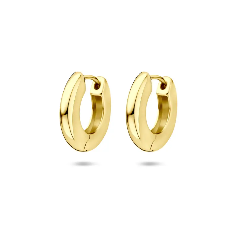 Oorbellen 15,5 mm 1micron zilver verguld