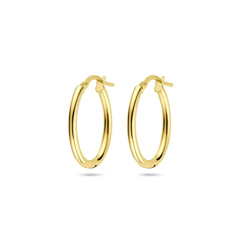 Oorbellen 23 mm silgold