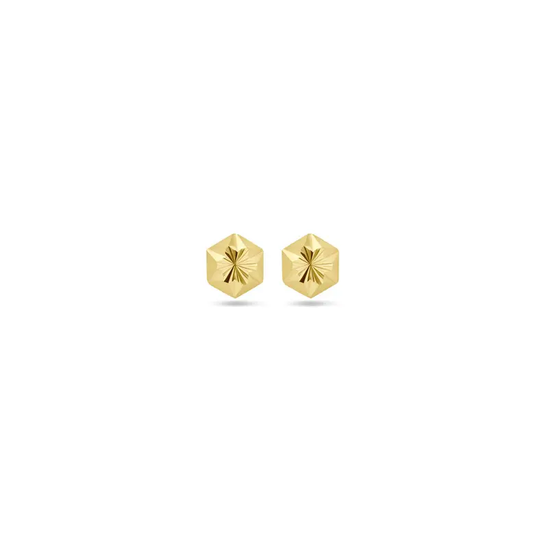 Oorbellen gediamanteerd 5 mm 9K geelgoud