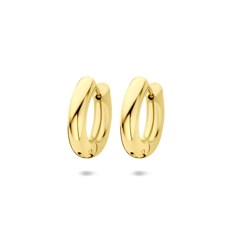 Oorbellen ion plating 18 mm edelstaal
