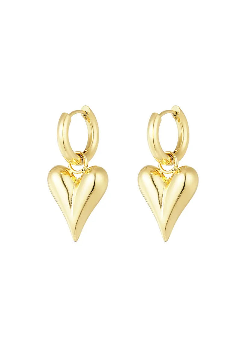 Oorbellen | Medium Hart