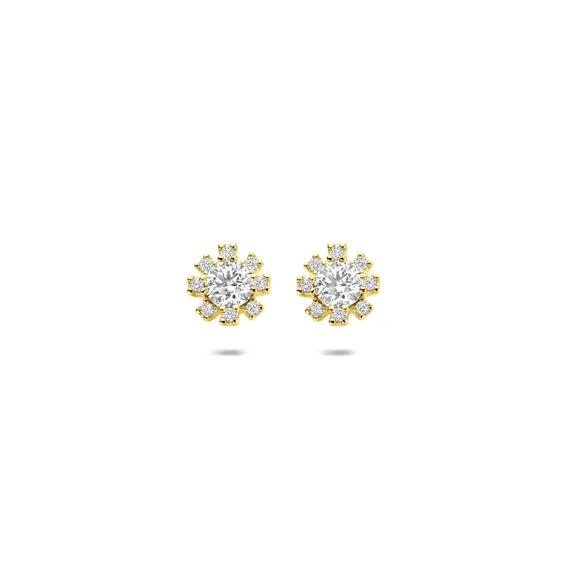 Oorbellen rozet zirkonia 6 mm 14K geelgoud