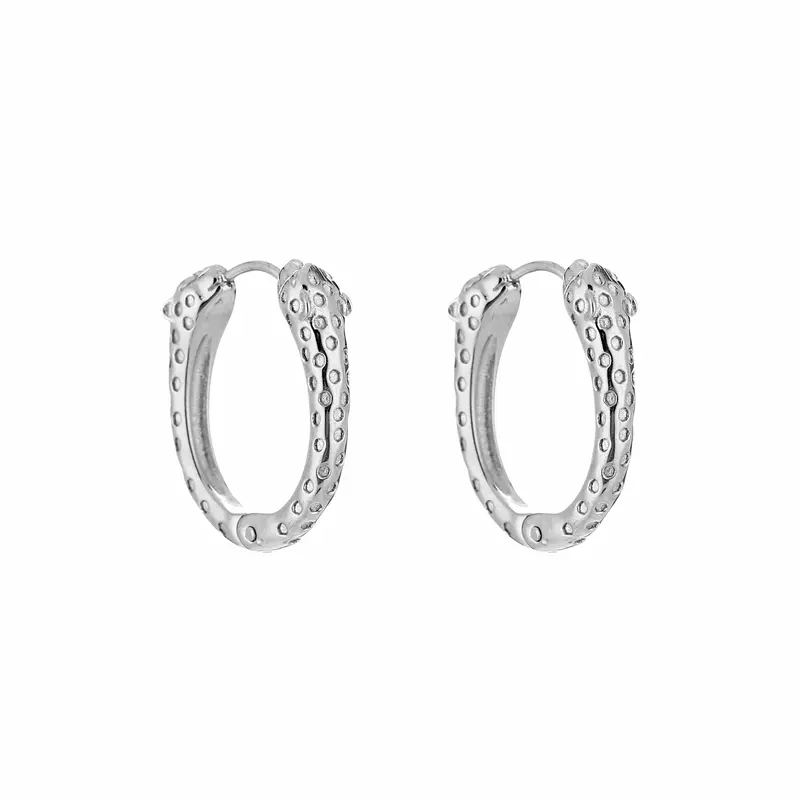 Oorbellen | Slang