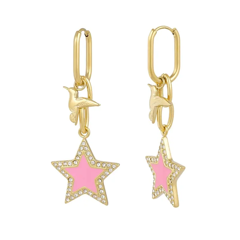 Oorbellen | You’re a star