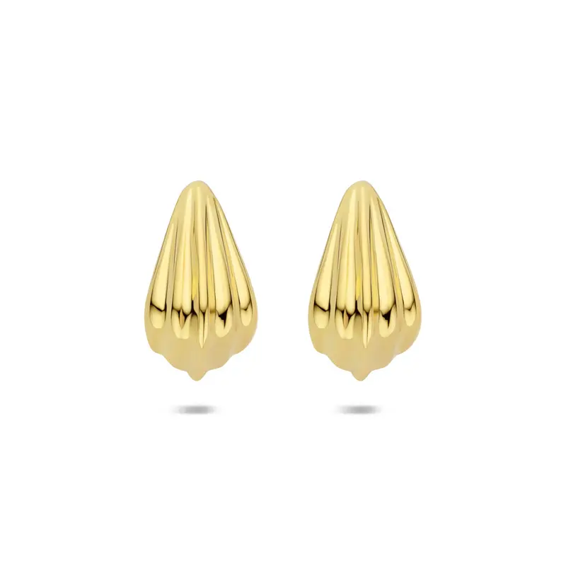 Oorknoppen 20 mm 1 micron zilver verguld – 2104138