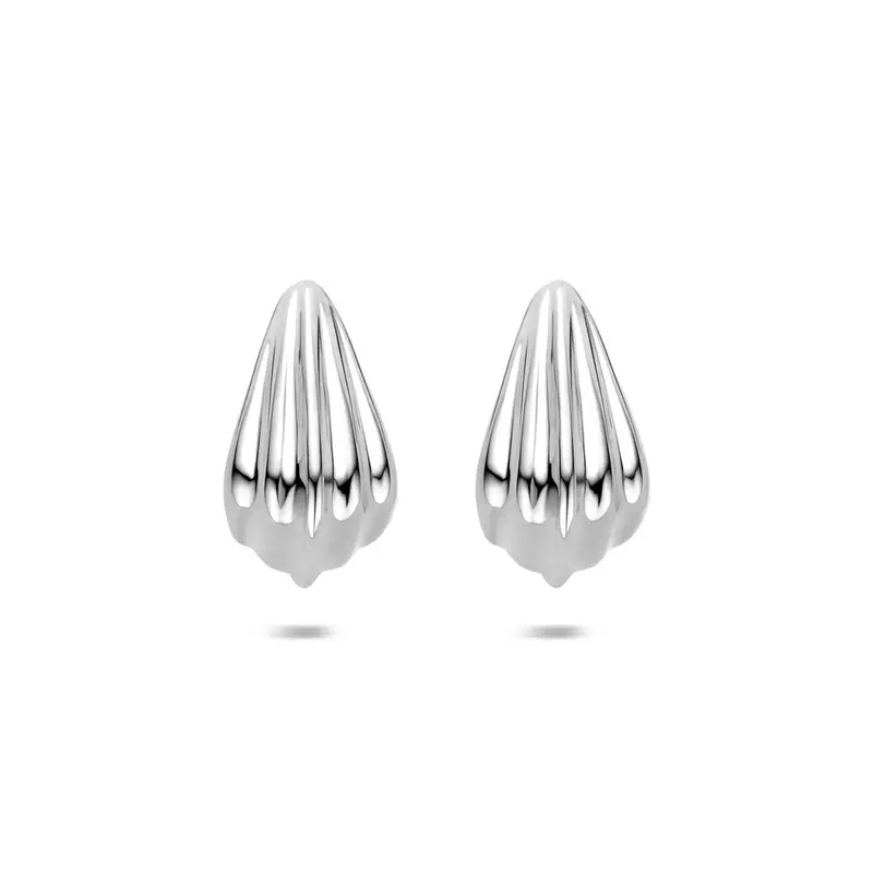 Oorknoppen 20 mm zilver – 1342094