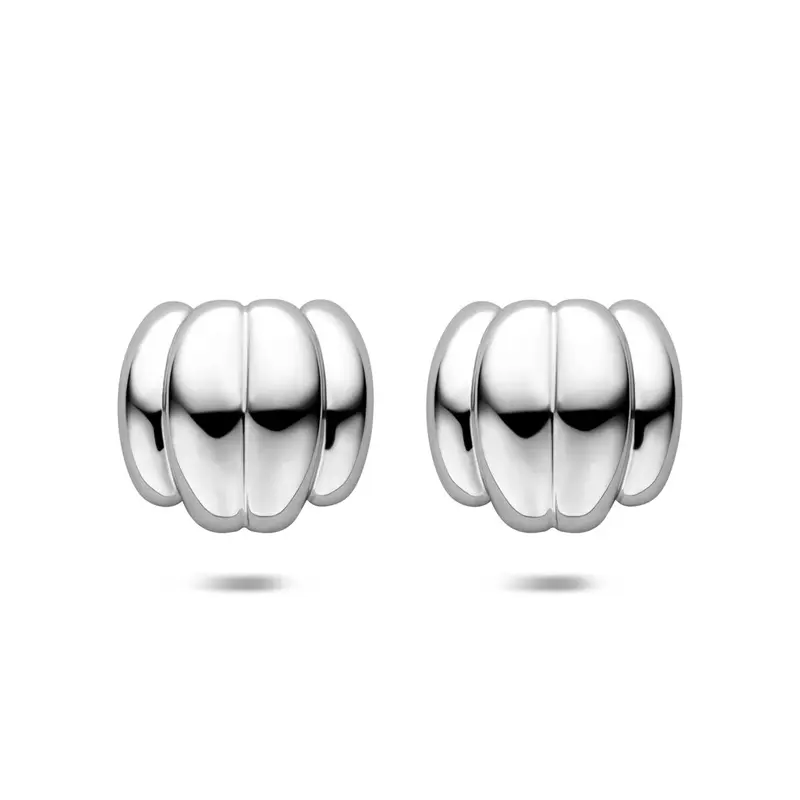 Oorknoppen 23 mm edelstaal – 6506209