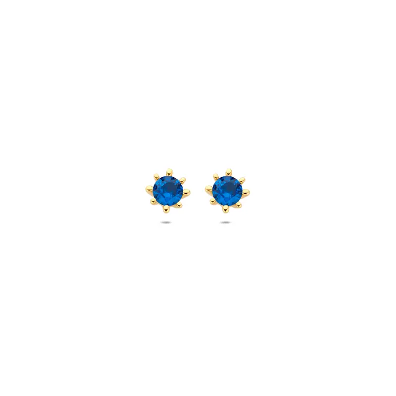 Oorknoppen blauw zirkonia 9K geelgoud 4,5 mm – 8000770