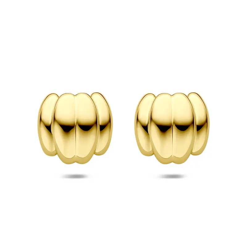 Oorknoppen ion plating 23 mm edelstaal – 6506208