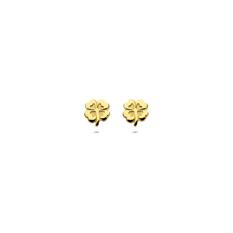 Oorknoppen klavertje poli/mat 9K geelgoud 5,5 mm – 8001419