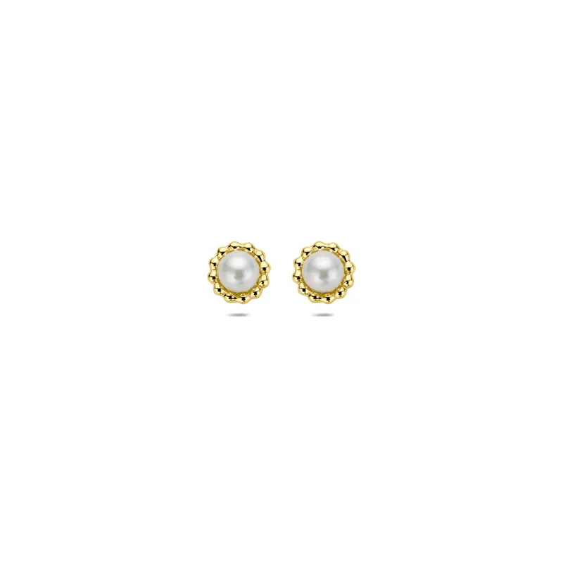 Oorknoppen parel 14K geelgoud 5,5 mm
