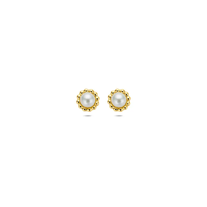 oorknoppen parel 5,5 mm 14K geelgoud