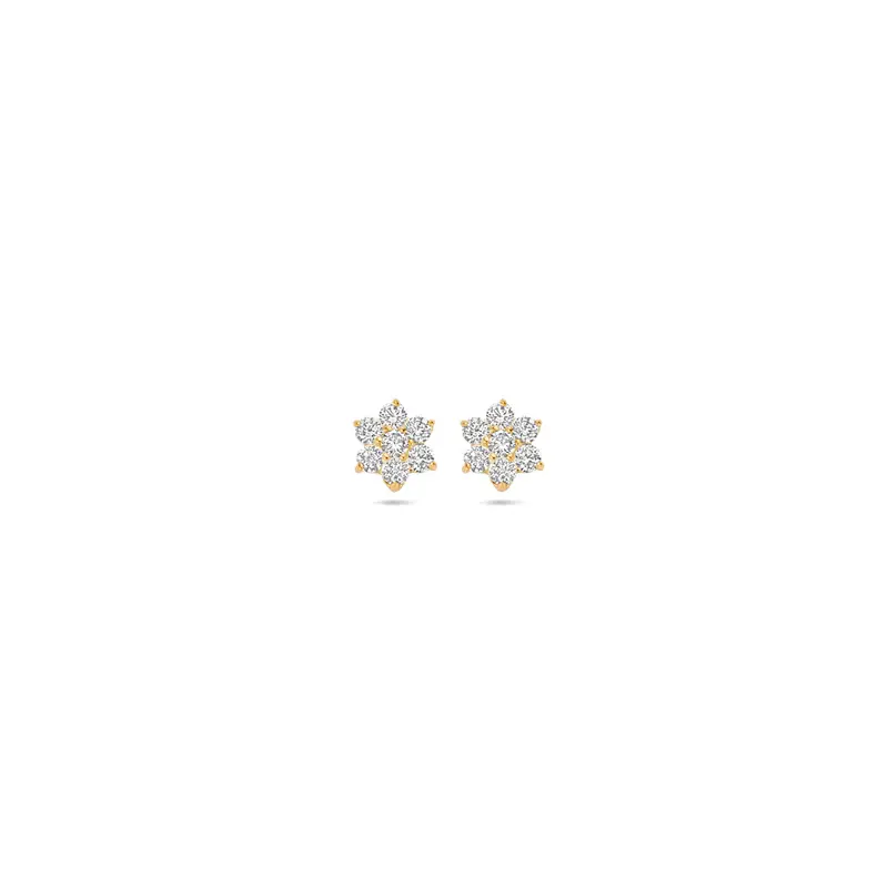 oorknoppen rozet 14K geelgoud